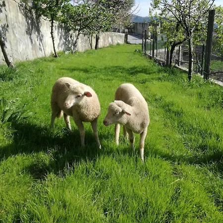 Вилла Casa Dos Barros -