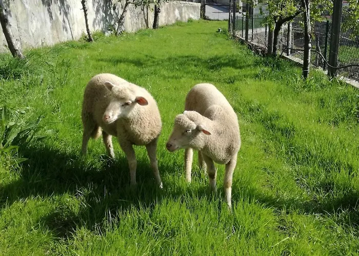 Villa Casa Dos Barros -